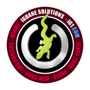 Logo Iguane Solutions Sécurité par design