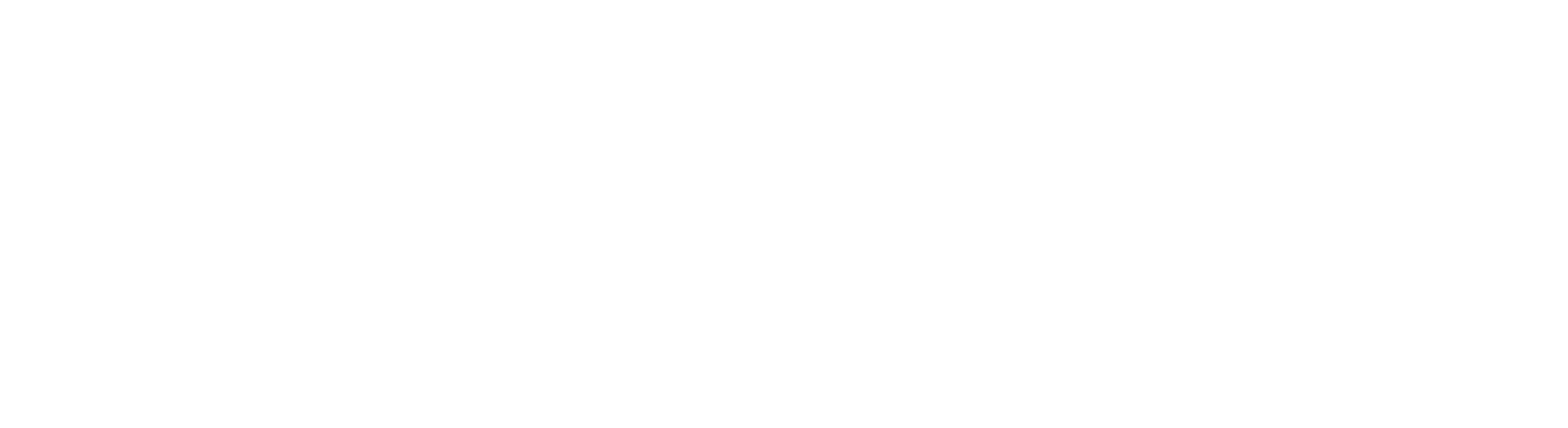 Iguana Solutions USA logo